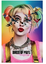 Plakát Birds Of Prey: Seeing Stars (61 x 91,5 cm)