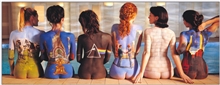 Plakát na dveře Pink Floyd: Back Catalogue (53 x 158 cm)