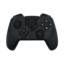 Dual Vibration Wireless Controller with Wake Up Function - Black (PC/SWITCH)