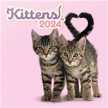 Oficiální nástěnný kalendář 2024 16 měsíců: Kočky Koťata (30 x 30 60 cm)