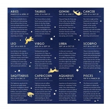 Galison Cat Zodiac Puzzle 500 pieces