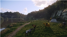 Kingdom Come: Deliverance II - Collectors Edition (PC)
