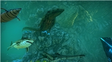 Ark: Survival Evolved (SWITCH)