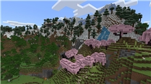 Minecraft (SWITCH)
