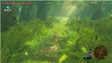 The Legend of Zelda: Breath of the Wild (SWITCH 2)