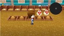 Harvest Moon: The Lost Valley and Skytree Village (SWITCH)