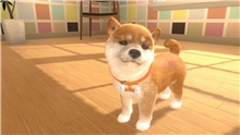 Little Friends: Dogs and Cats (Code in a Box) (SWITCH)