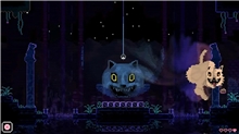 Animal Well (PS5)