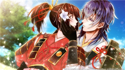 Birushana: Winds of Fate (SWITCH)