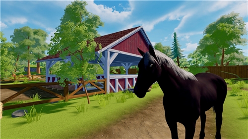Sophias Animal Clinic (PS5)